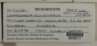 Image Associated With the Occurence